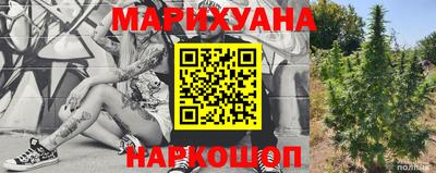 индика Нальчик