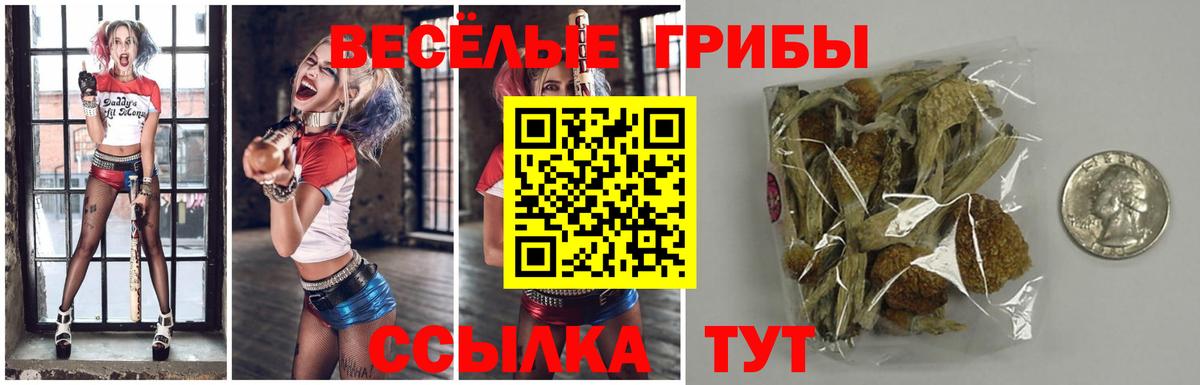 Галлюциногенные грибы прущие грибы  Вход с VPN  что такое наркотик  Дербент  Галлюциногенные грибы прущие грибы 